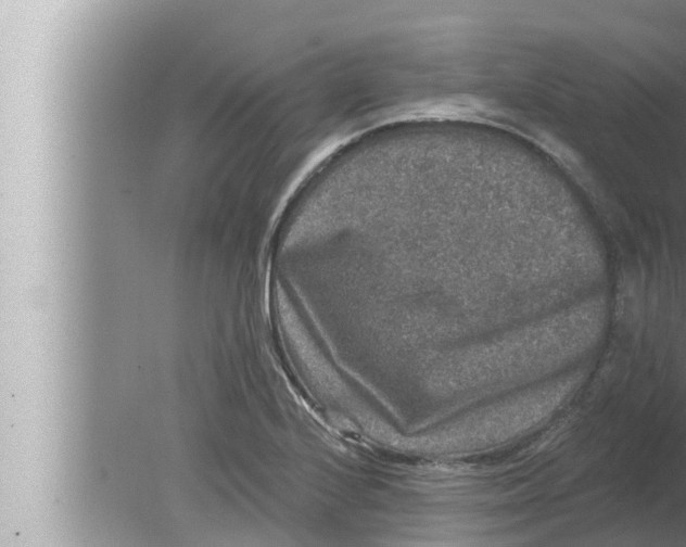 X0000080151224200612302119