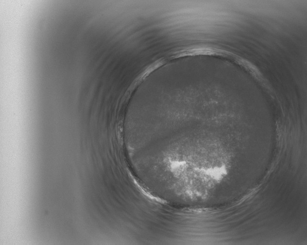 X0000080151225200612302119