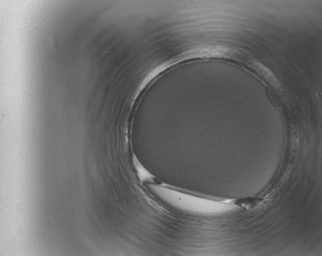 X0000080151226200612302119