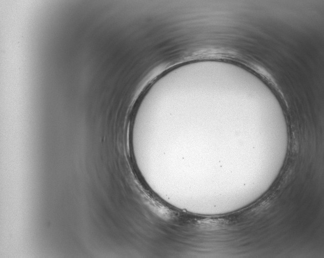 X0000080151227200612302119