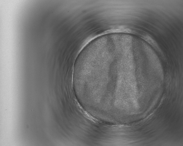 X0000080151228200612302119