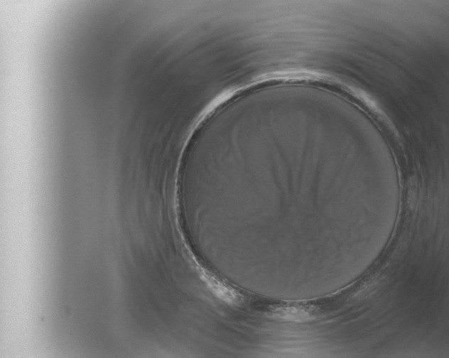 X0000080151229200612302119