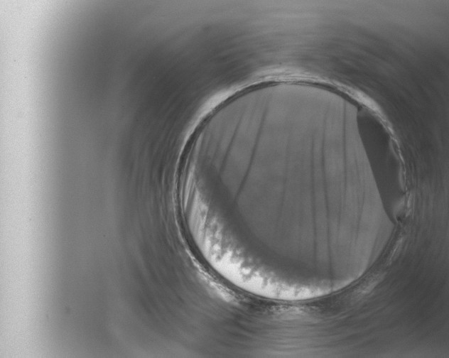 X0000080151231200612302119