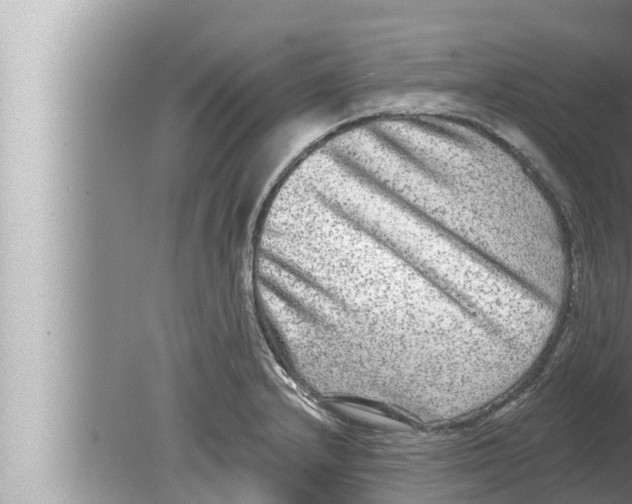 X0000080151232200612302119