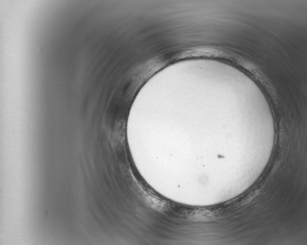 X0000080151233200612302119