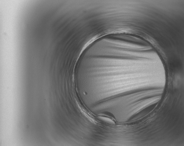 X0000080151234200612302119