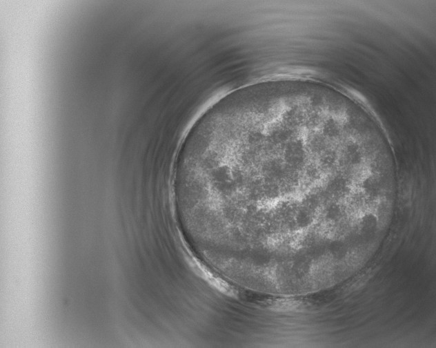 X0000080151235200612302119