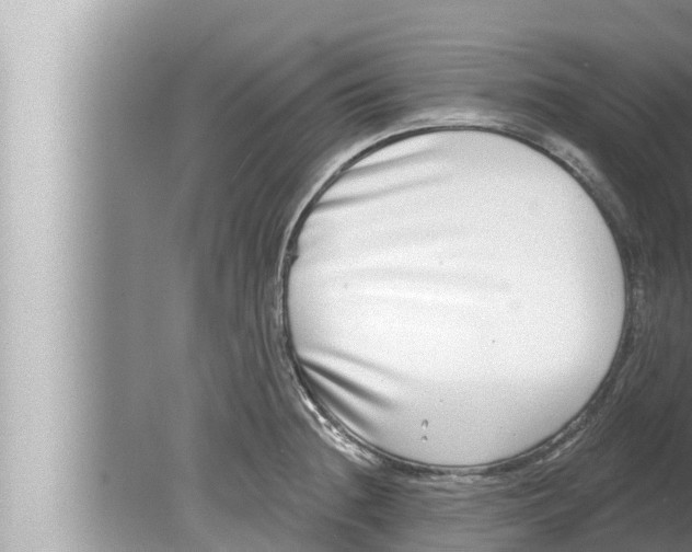 X0000080151236200612302119