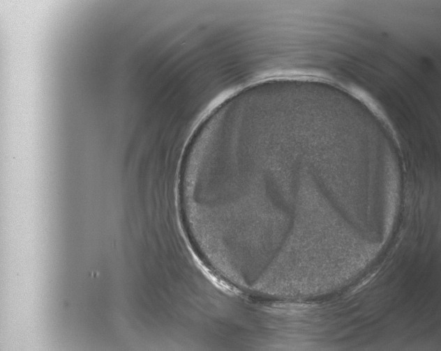 X0000080151237200612302119