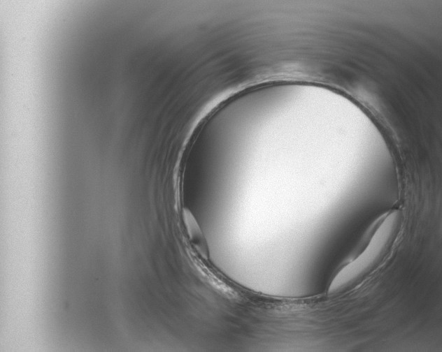 X0000080151238200612302119