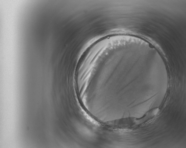 X0000080151239200612302119