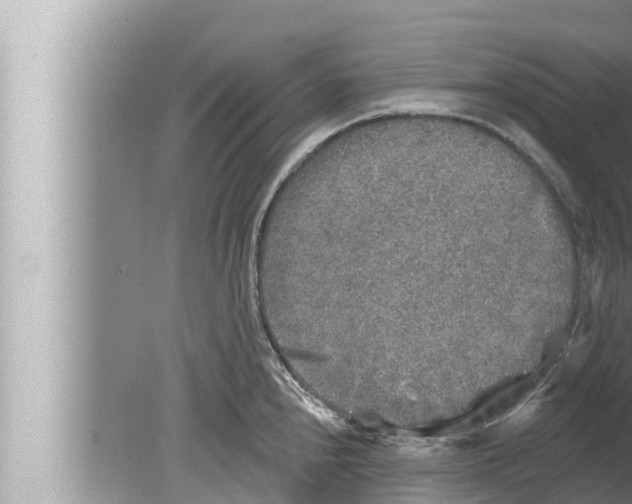 X0000080151240200612302119