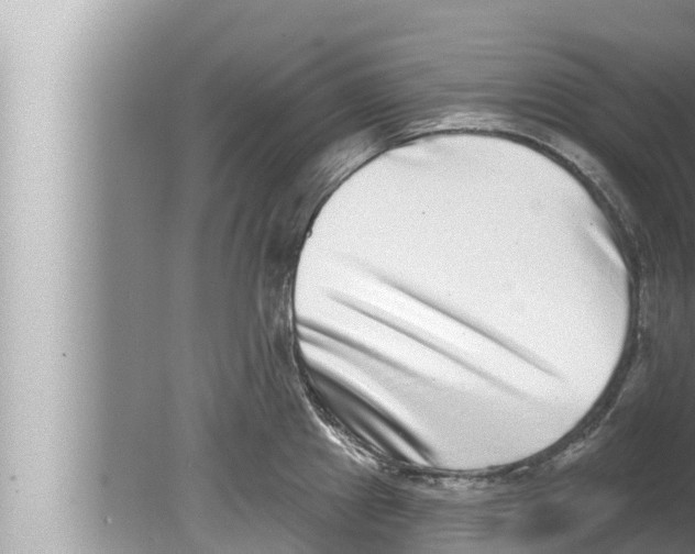 X0000080151241200612302119