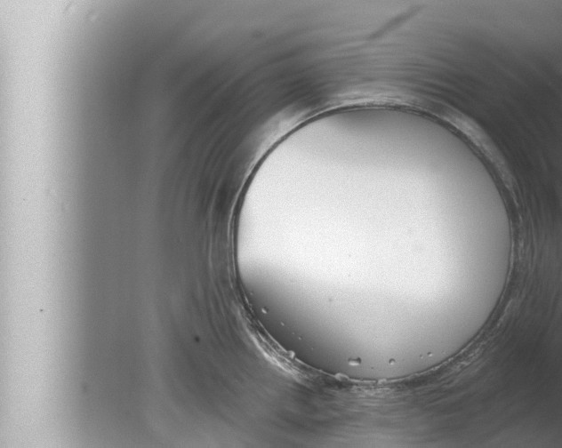 X0000080151242200612302119