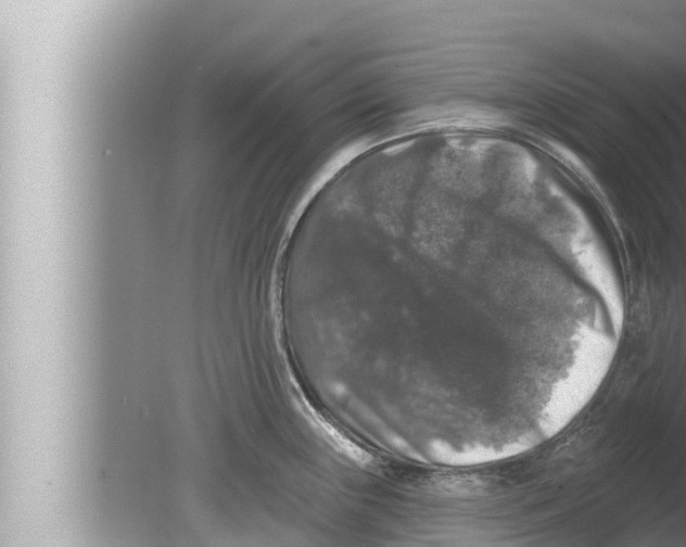 X0000080151243200612302119