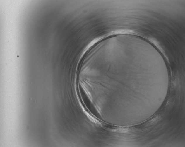 X0000080151245200612302119