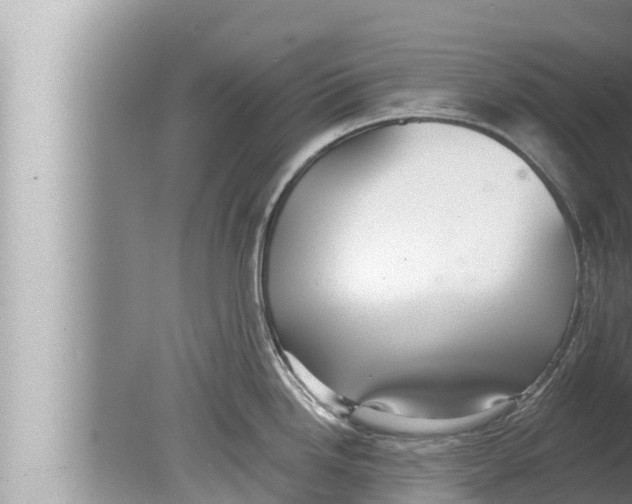 X0000080151246200612302119