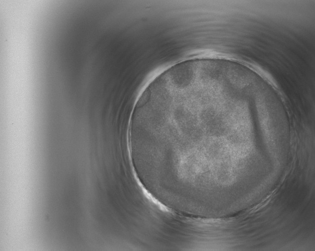 X0000080151247200612302119