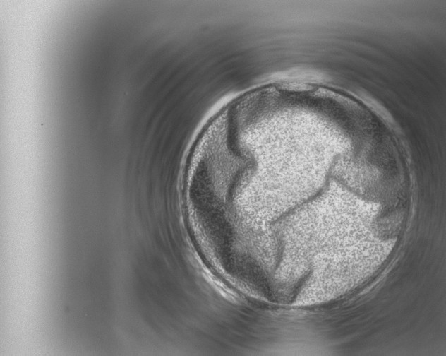 X0000080151248200612302119