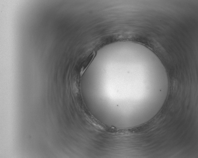 X0000080151250200612302119