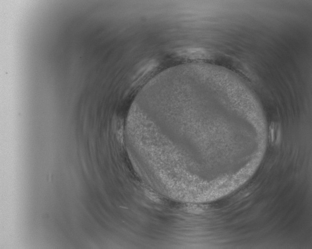 X0000080151251200612302119