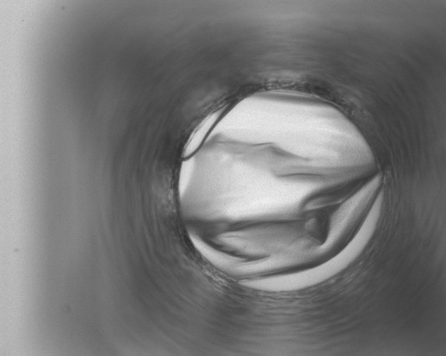 X0000080151252200612302119