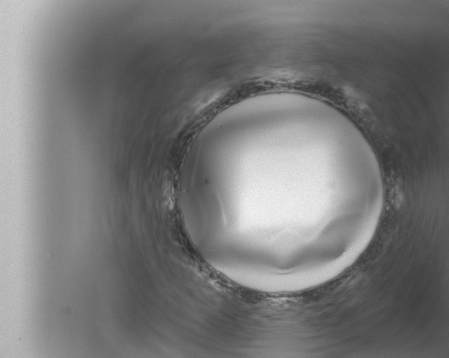 X0000080151253200612302119