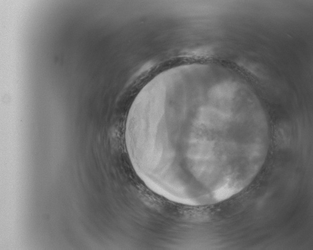 X0000080151254200612302118