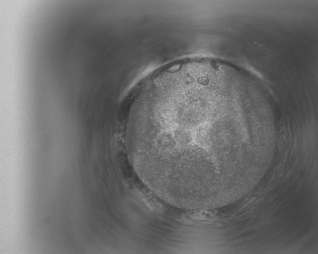 X0000080151255200612302118