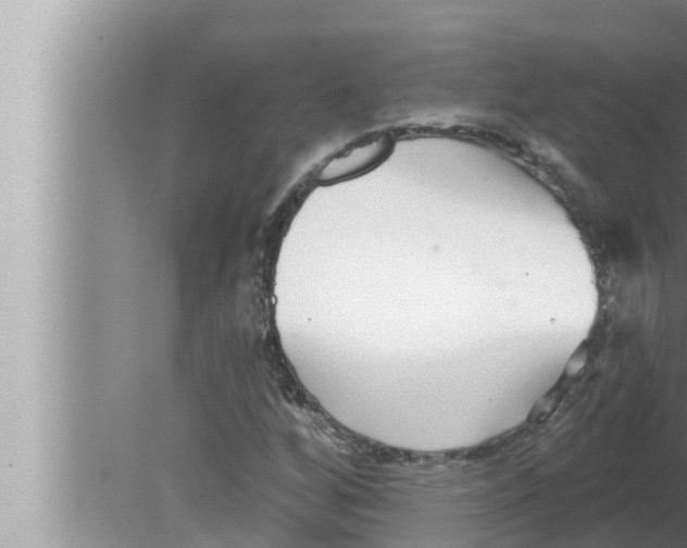 X0000080151256200612302118