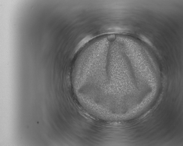 X0000080151259200612302118