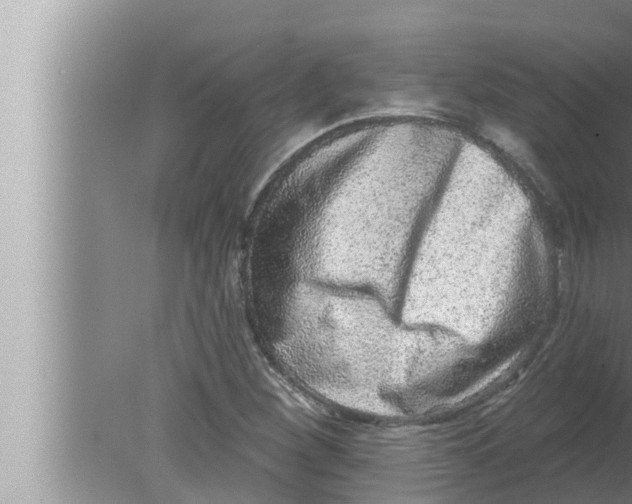 X0000080151260200612302118