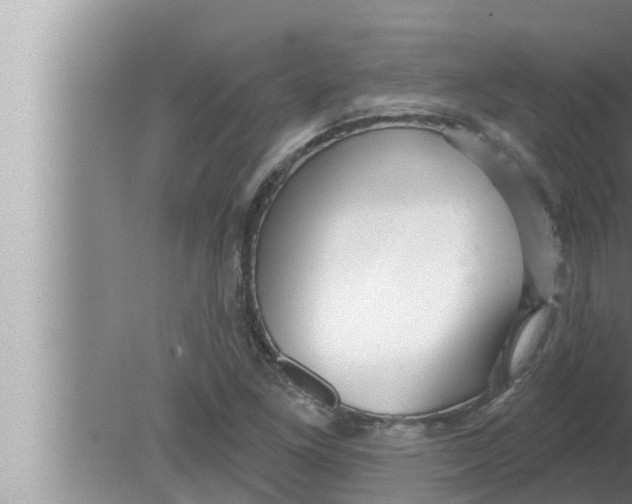 X0000080151261200612302118