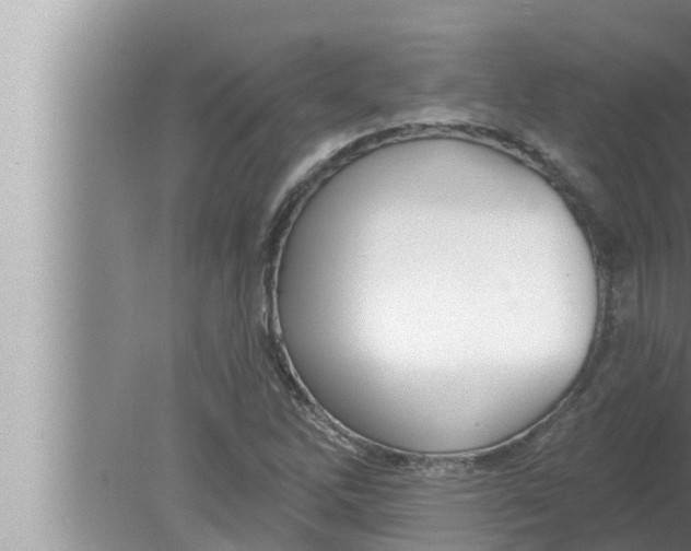 X0000080151262200612302118