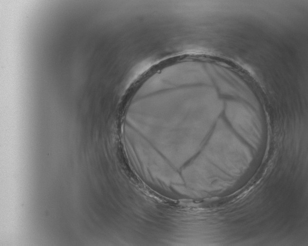 X0000080151263200612302118