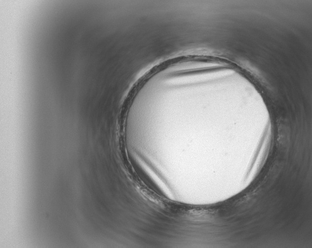 X0000080151264200612302118