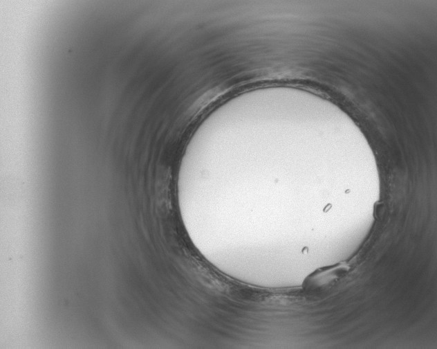 X0000080151265200612302118