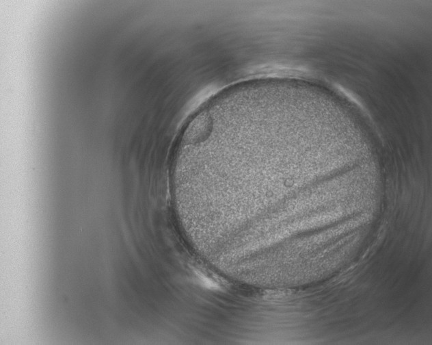 X0000080151267200612302118