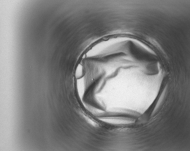 X0000080151268200612302118