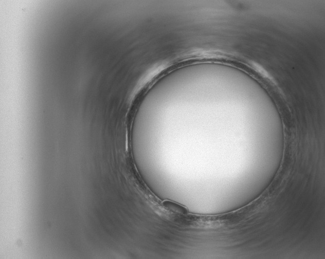 X0000080151269200612302118