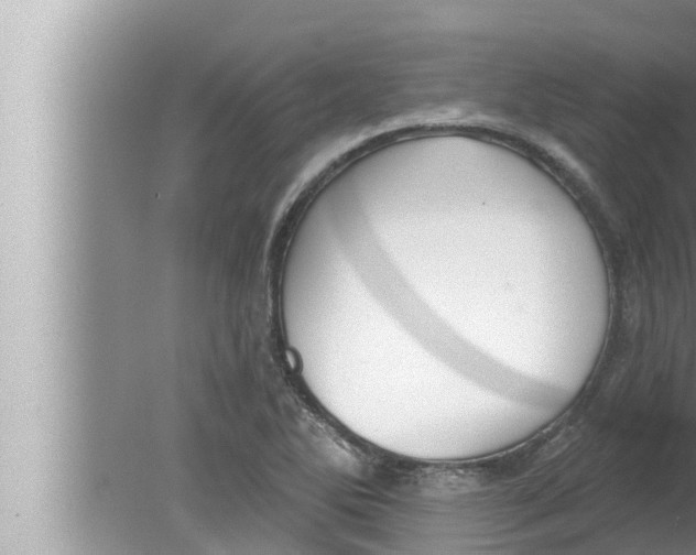 X0000080151270200612302118