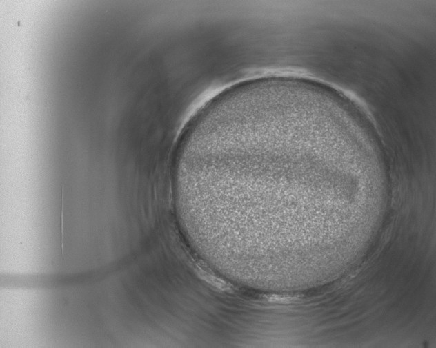 X0000080151271200612302118