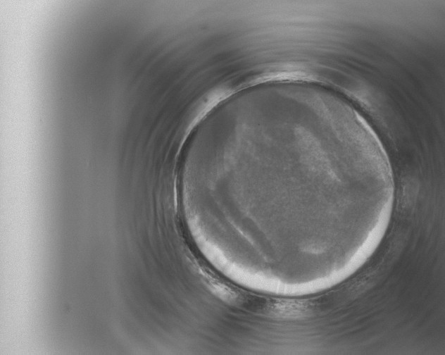 X0000080151274200612302118