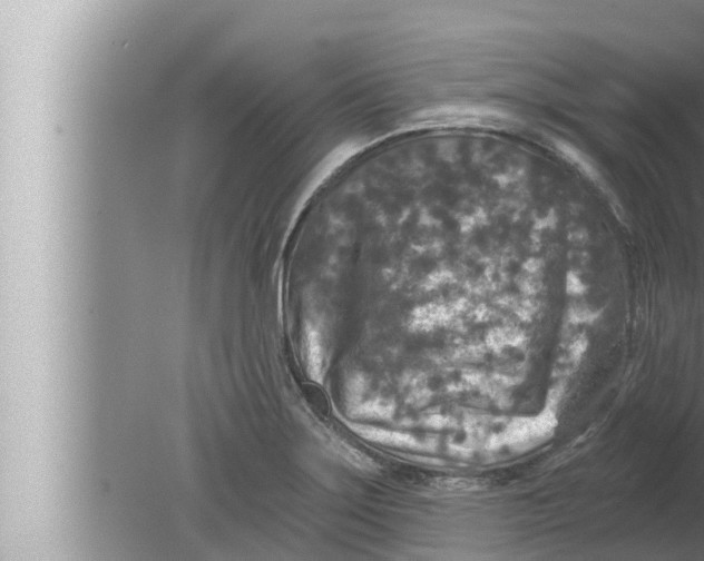 X0000080151275200612302118