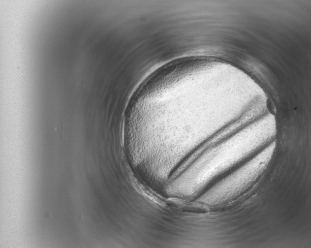 X0000080151276200612302118