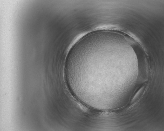 X0000080151277200612302118