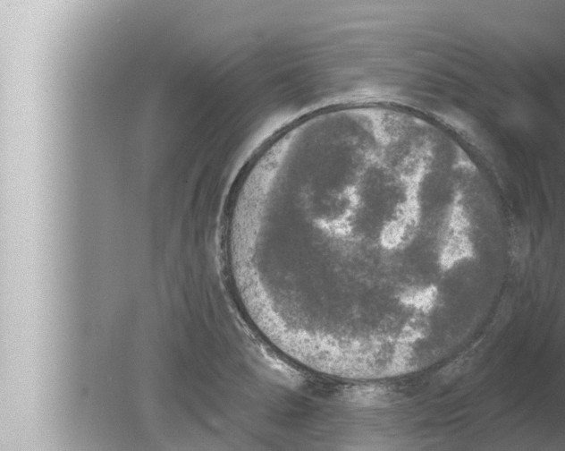 X0000080151278200612302118