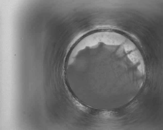 X0000080151279200612302118