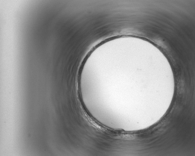 X0000080151280200612302118