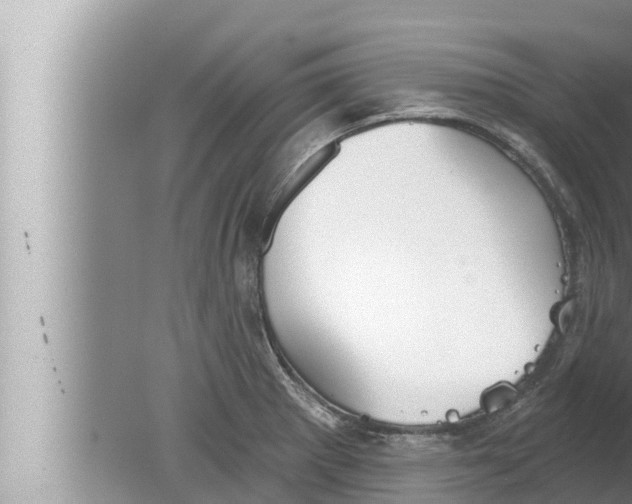 X0000080151281200612302118